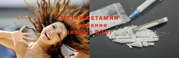 ПСИЛОЦИБИНОВЫЕ ГРИБЫ Арсеньев